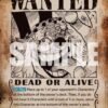 BUGGY (051) (WANTED POSTER) 2 5176933496344218595 120 410x410 1 300x300 1